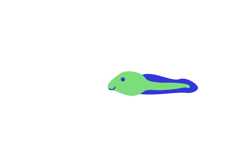 folig frog tadpole blue and green 