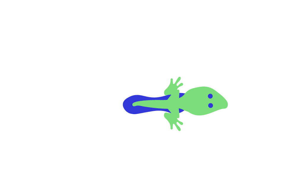 blue and green folig frog tadpole with legs