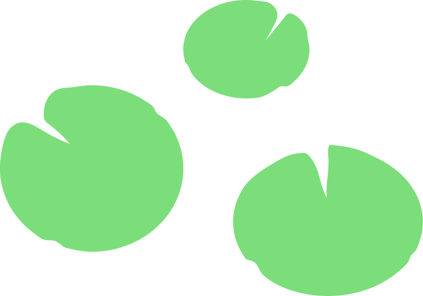 green lily pad illustration folig frog